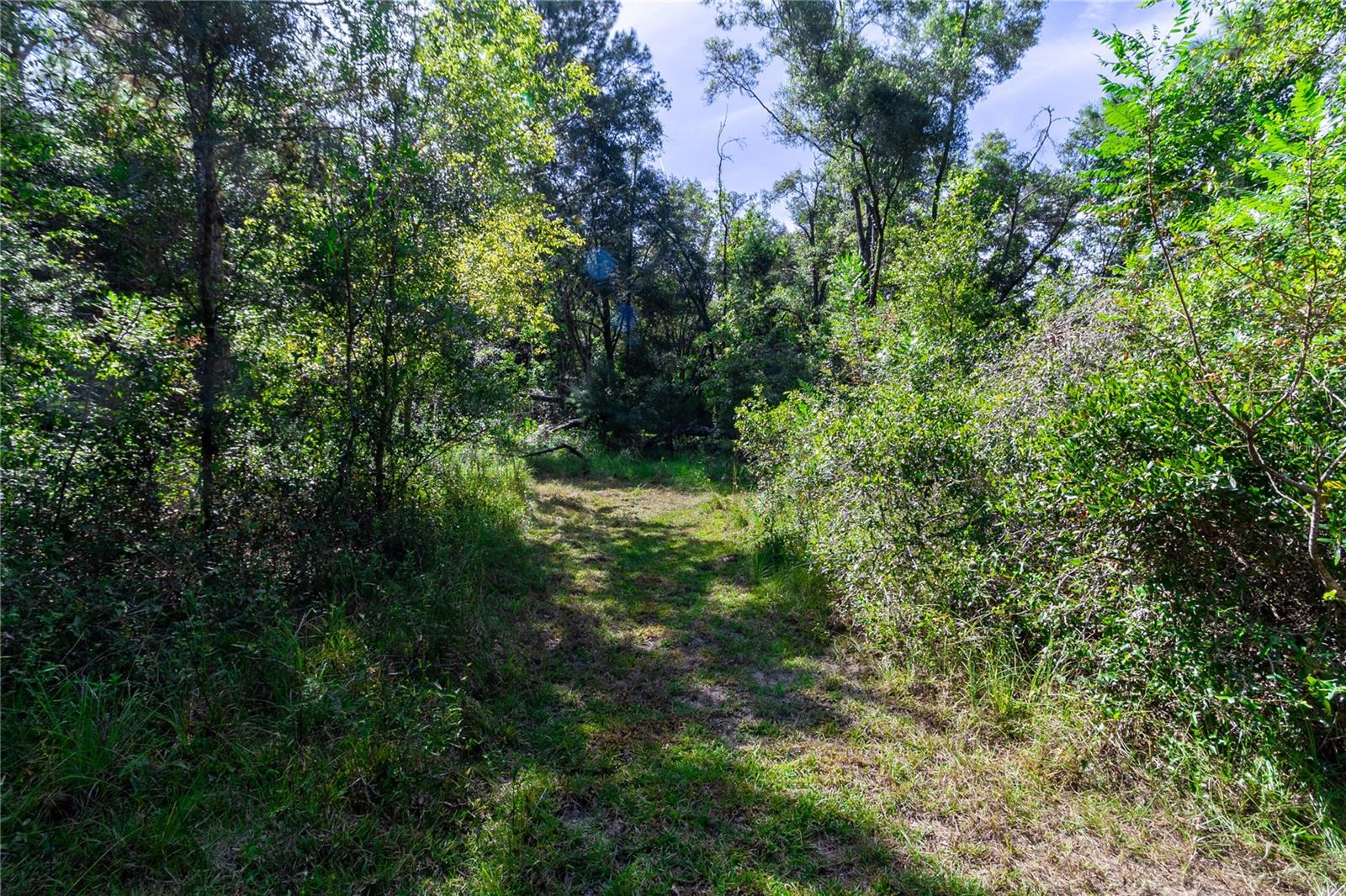 Image 10 of 60 For 5301 County Road 235