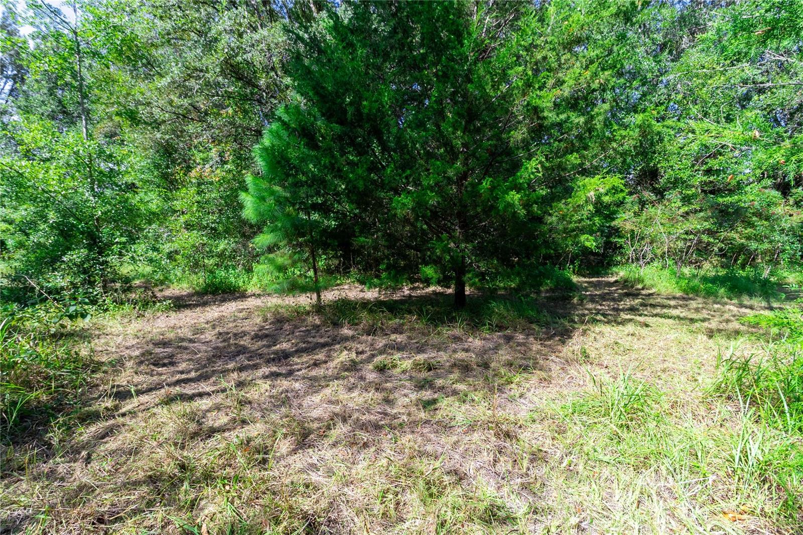 Image 13 of 60 For 5301 County Road 235