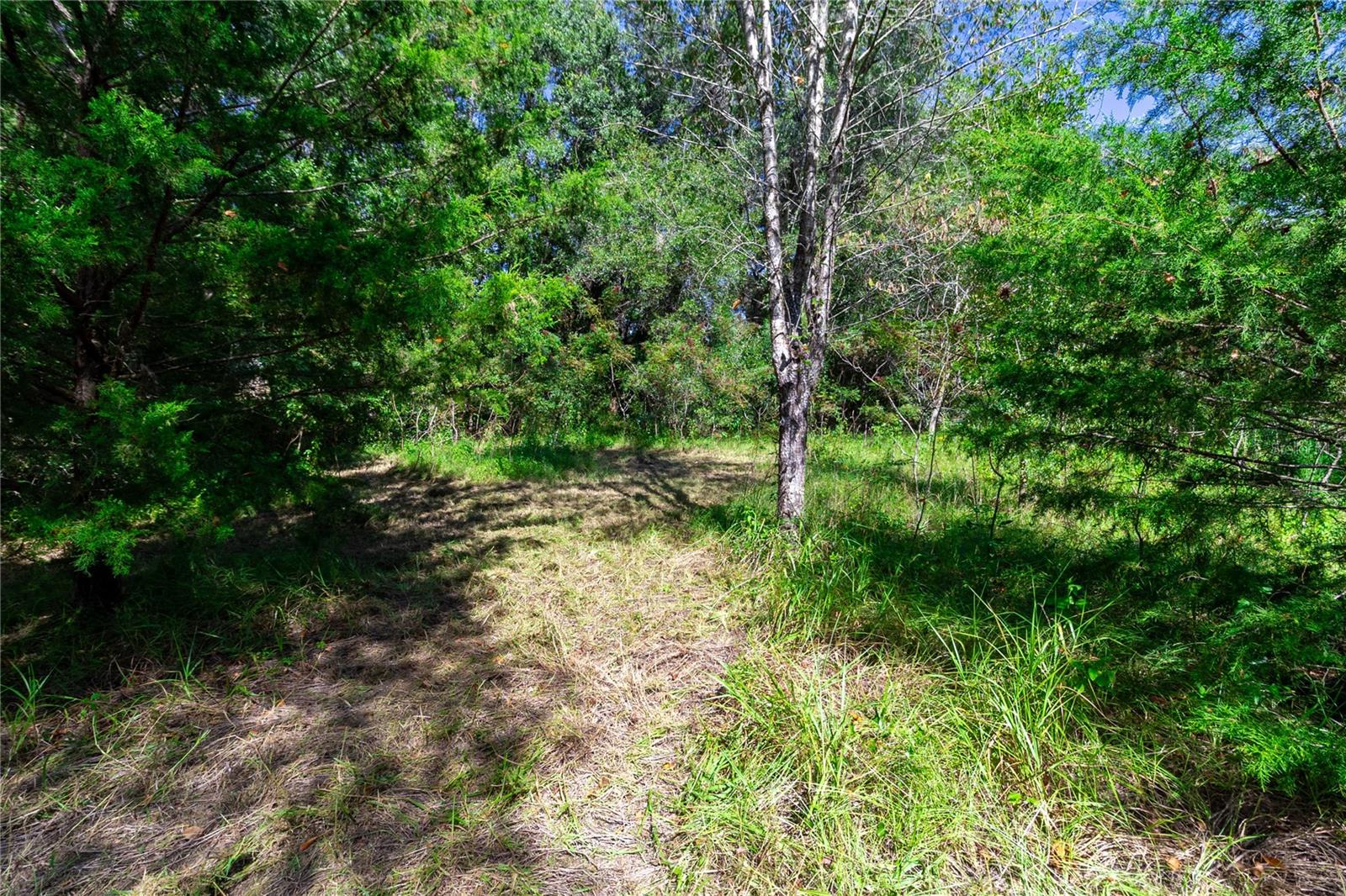 Image 15 of 60 For 5301 County Road 235