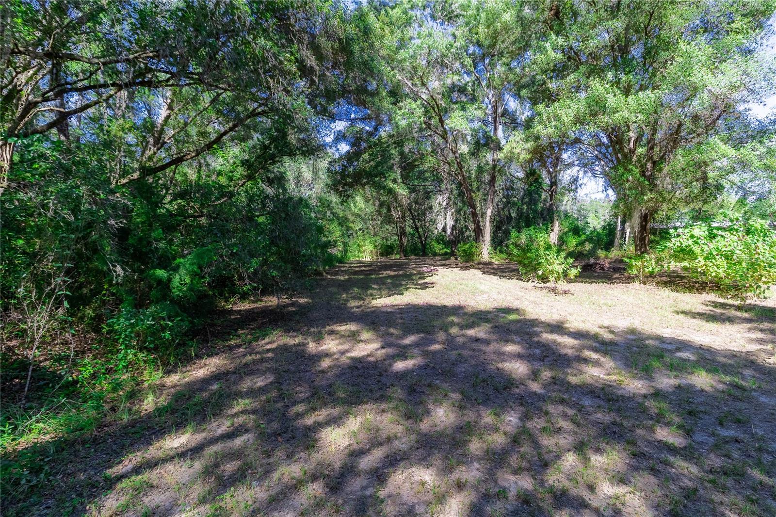 Image 17 of 60 For 5301 County Road 235