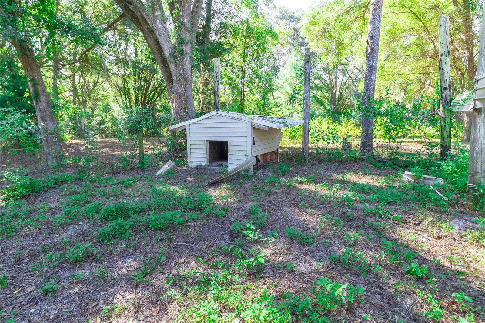 Image 32 of 60 For 5301 County Road 235