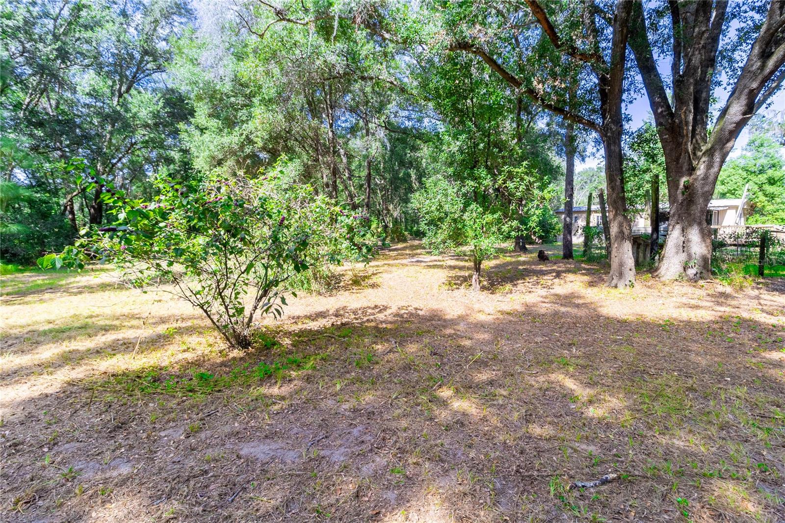 Image 5 of 60 For 5301 County Road 235