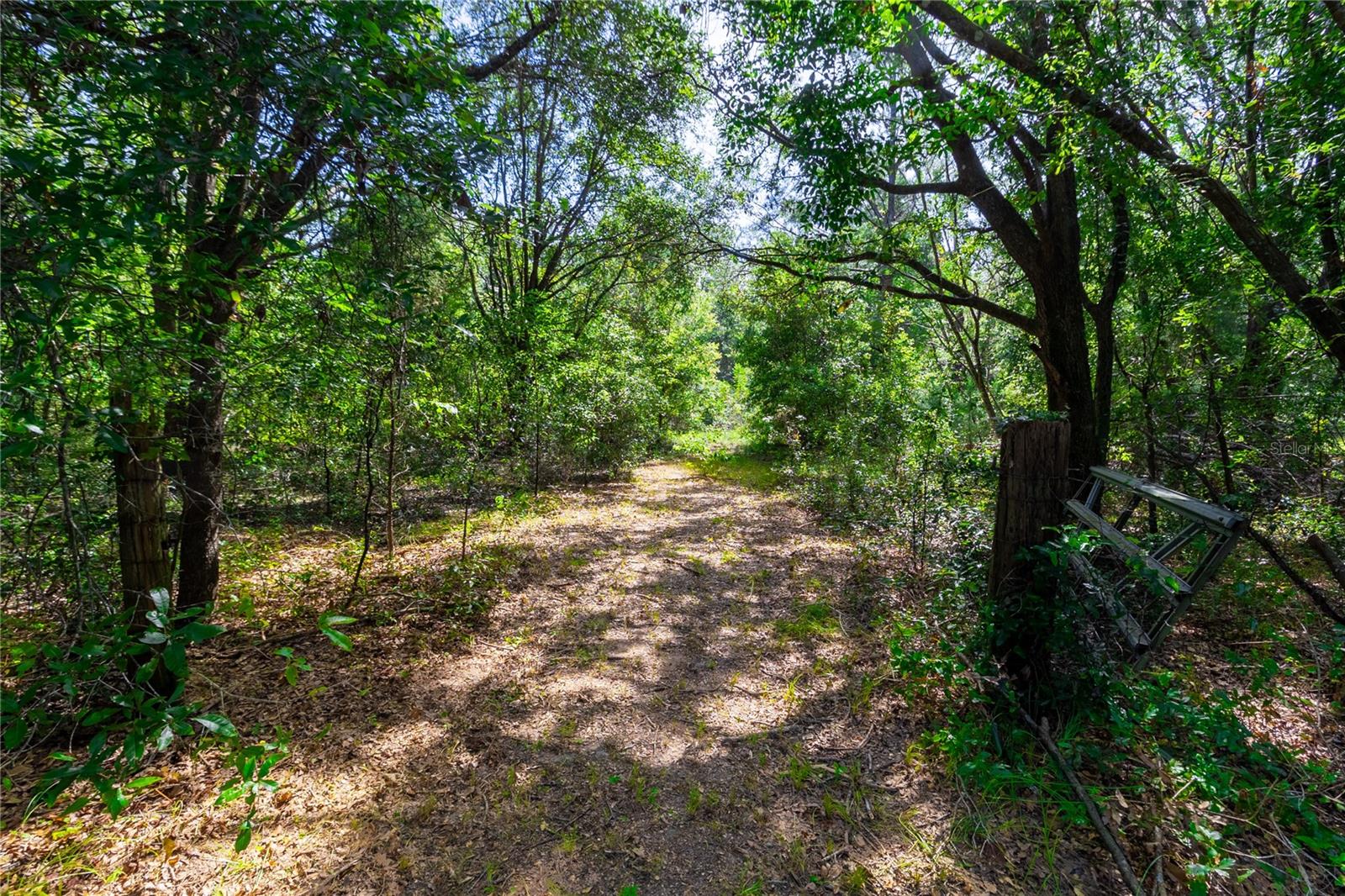 Image 7 of 60 For 5301 County Road 235