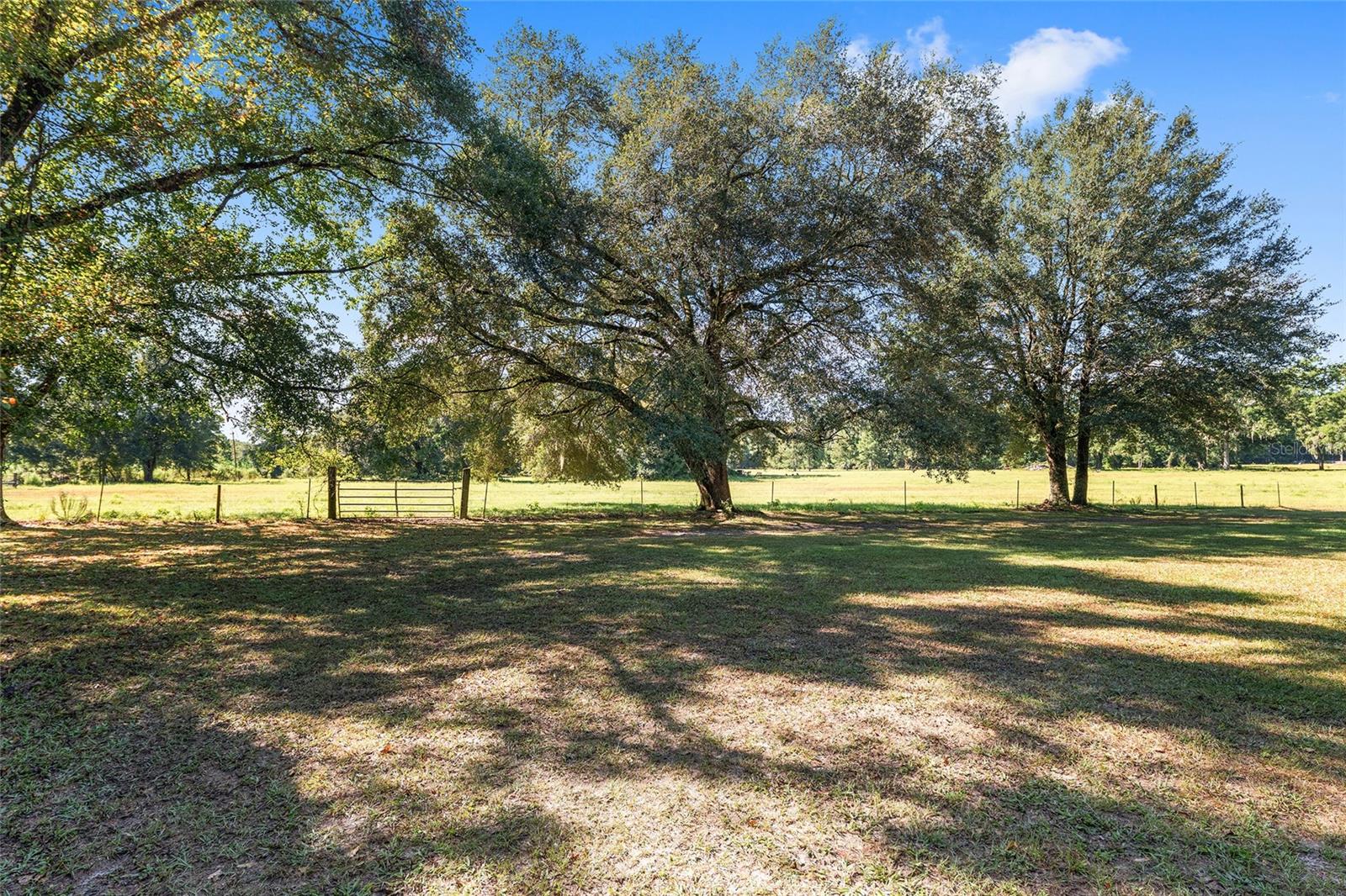 Image 50 of 97 For 23109 227th Drive