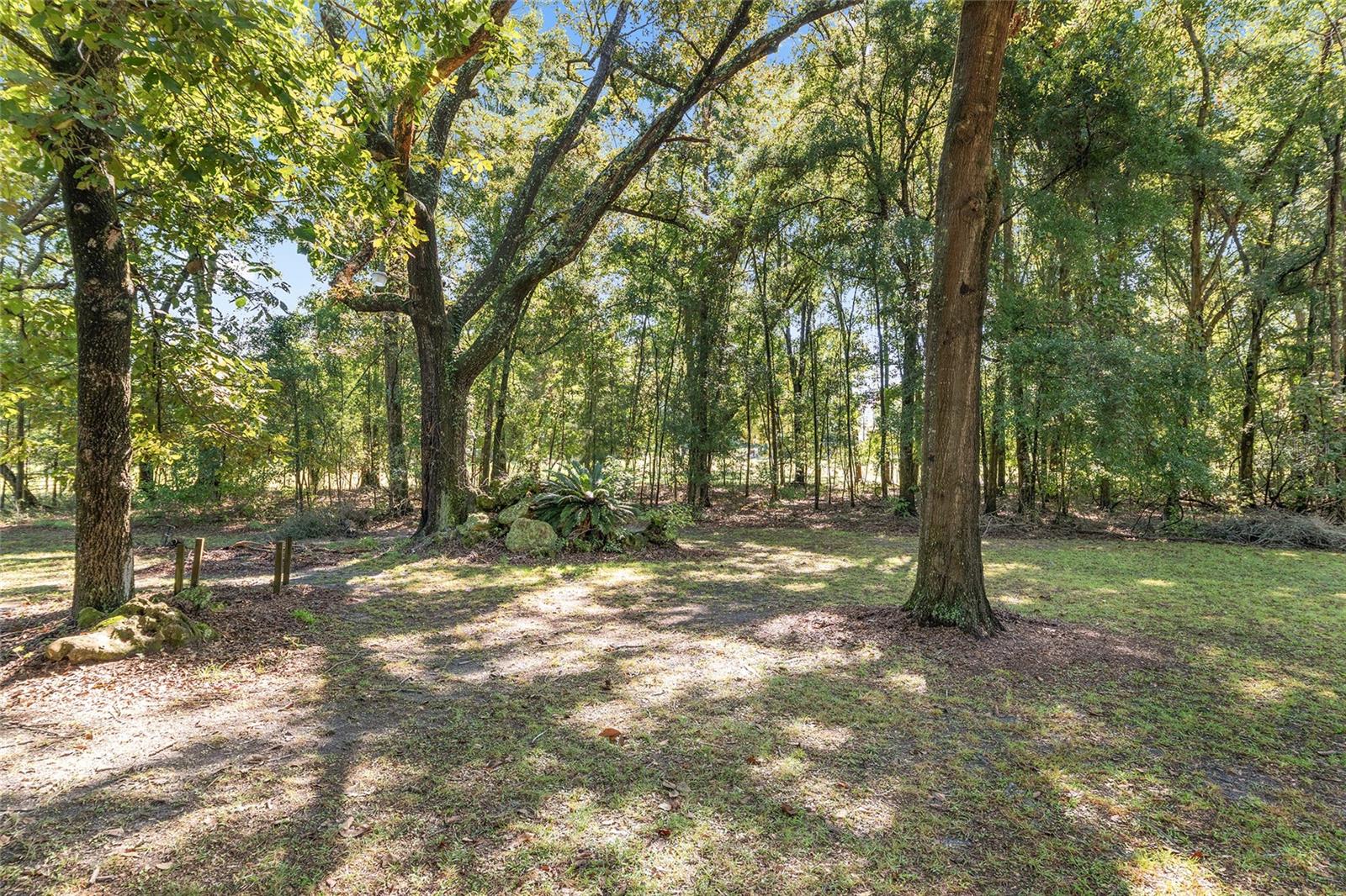 Image 64 of 97 For 23109 227th Drive