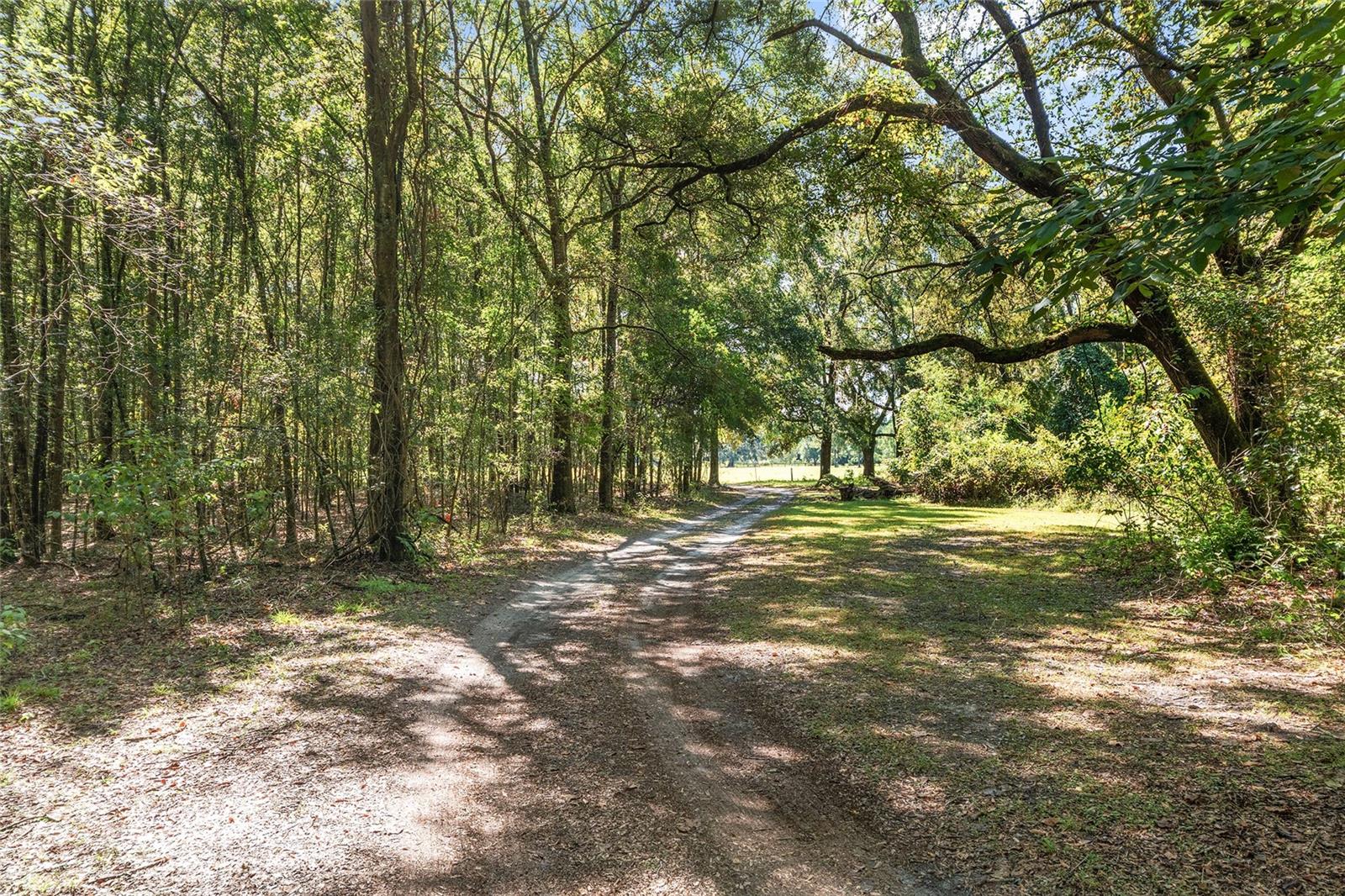 Image 67 of 97 For 23109 227th Drive