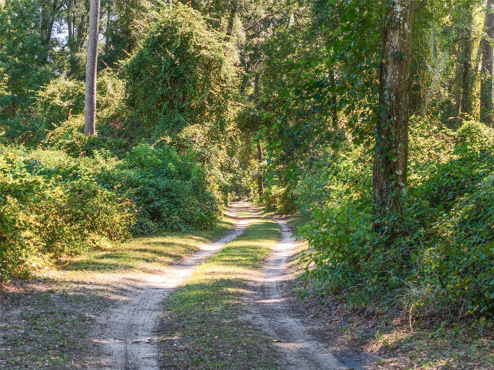 Image 72 of 97 For 23109 227th Drive