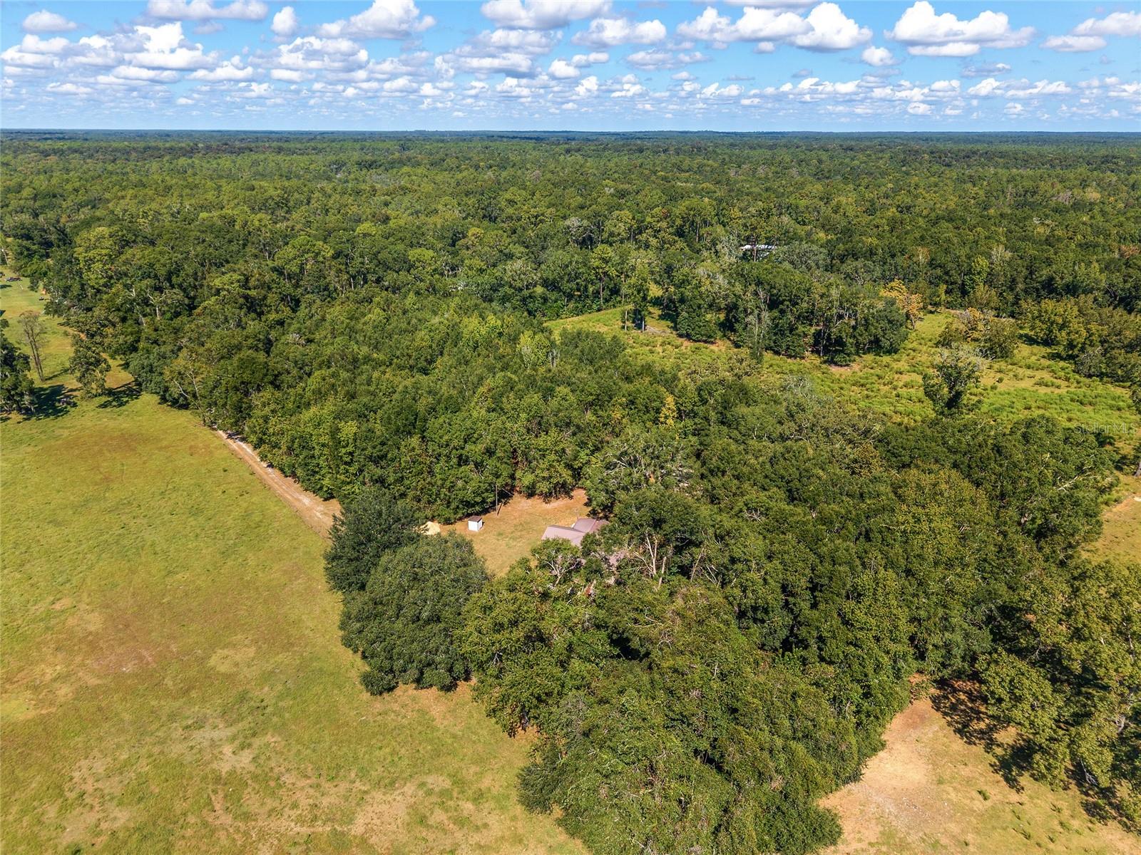 Image 81 of 97 For 23109 227th Drive