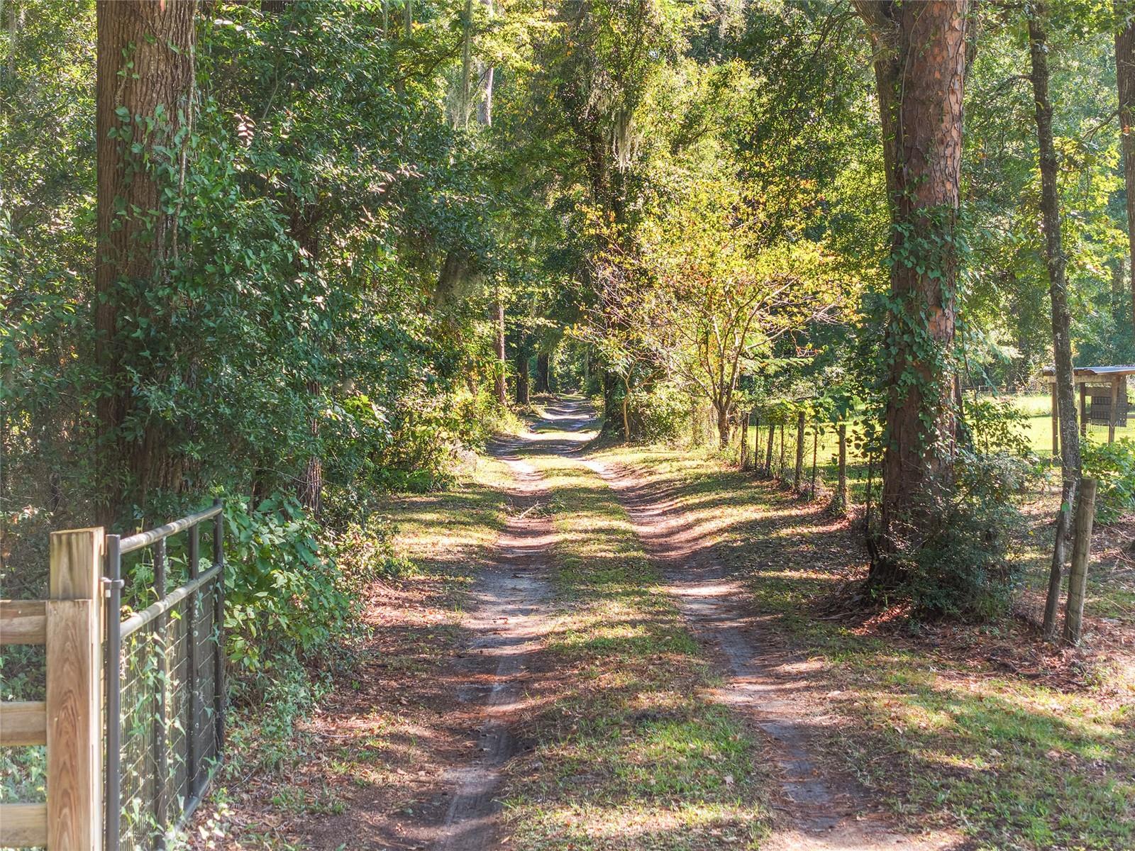 Image 93 of 97 For 23109 227th Drive