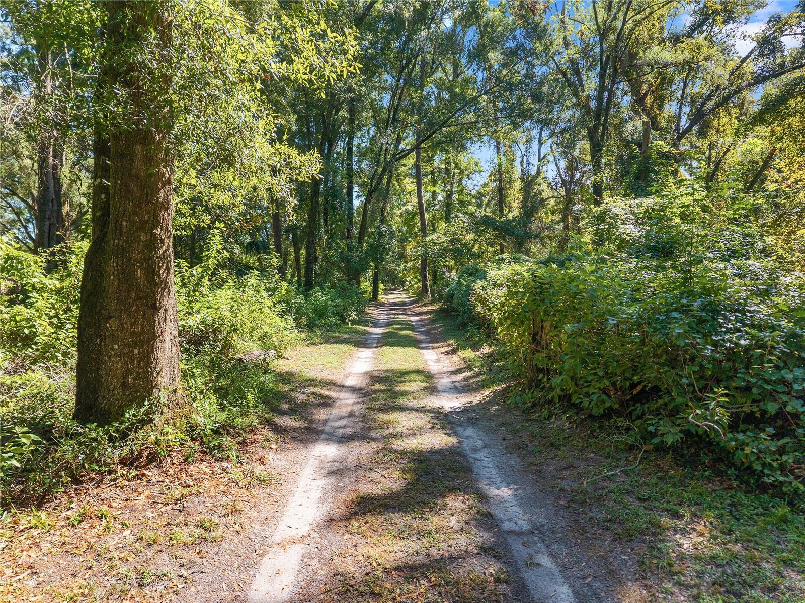 Image 94 of 97 For 23109 227th Drive