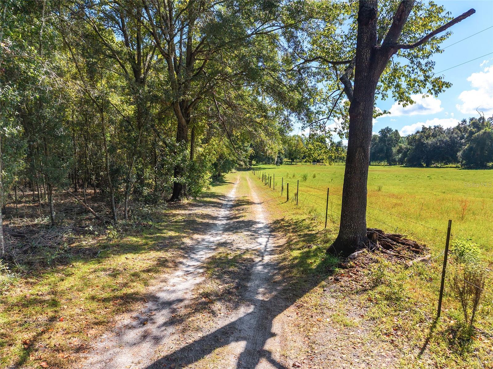 Image 95 of 97 For 23109 227th Drive