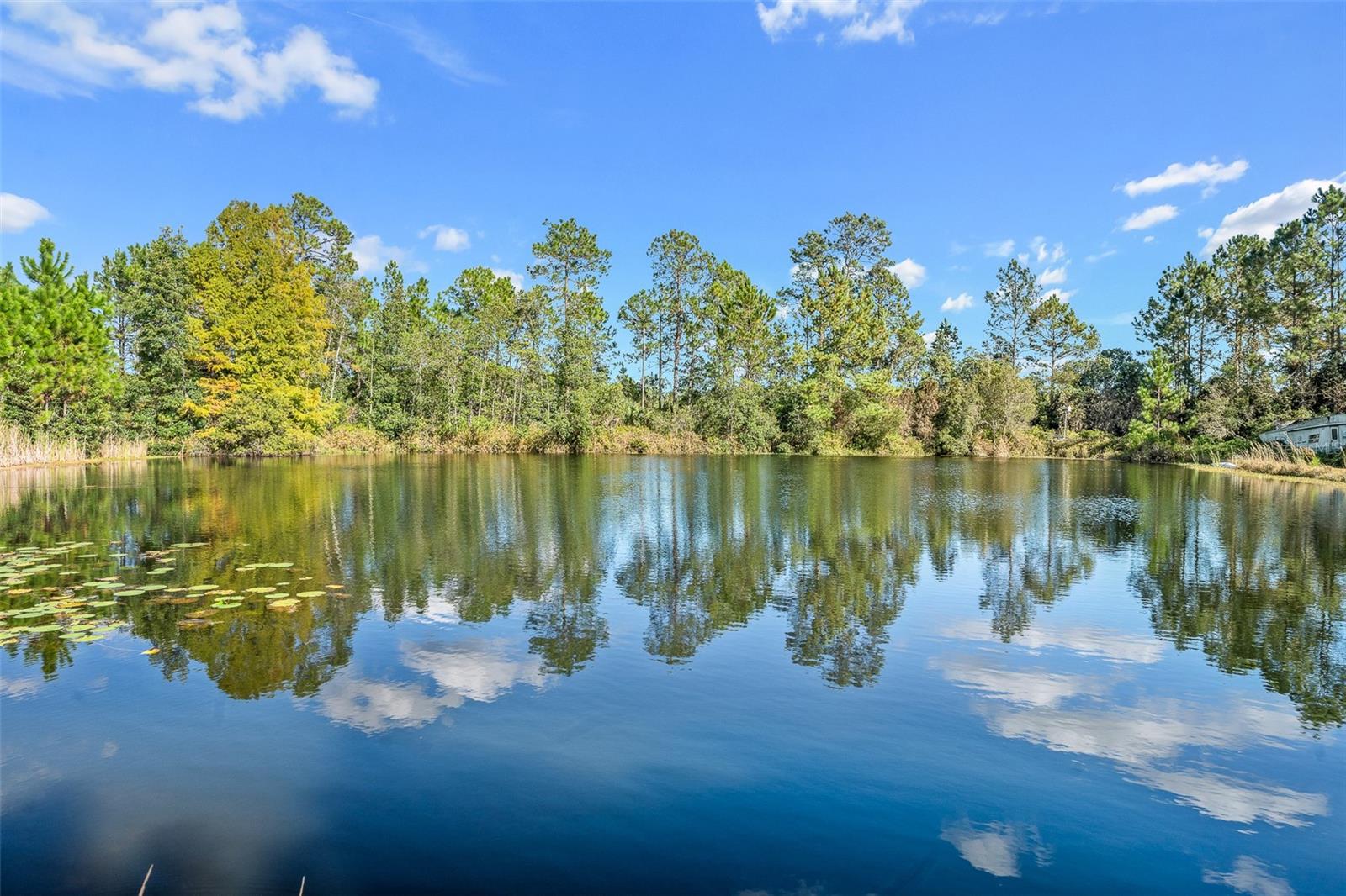 Image 33 of 42 For 923 County Road 315