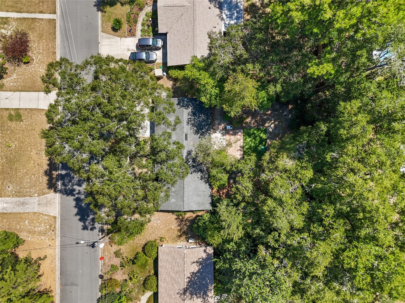 Image 43 of 47 For 3135 46th Avenue