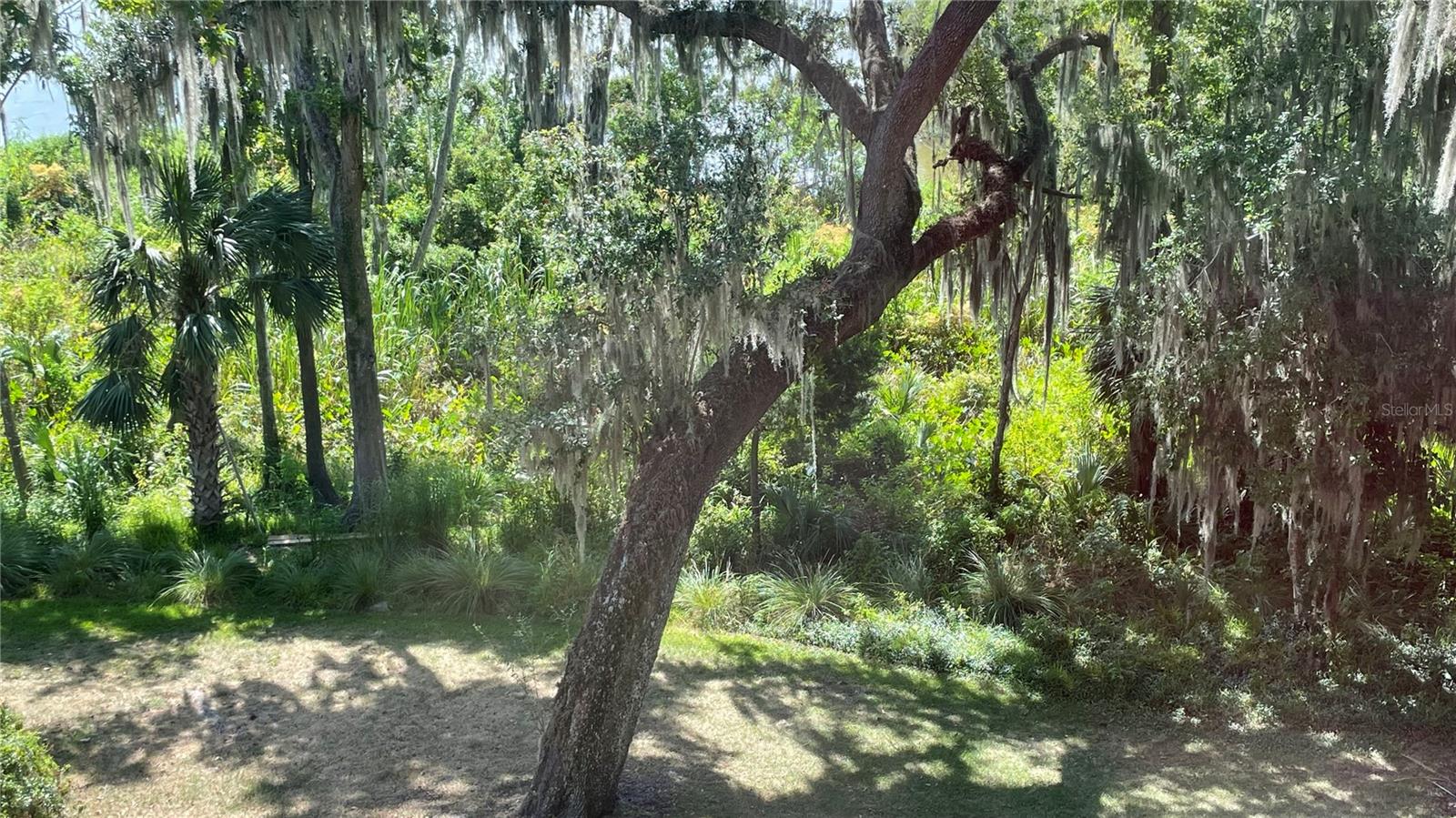 Image 57 of 71 For 2510 14th Drive 316