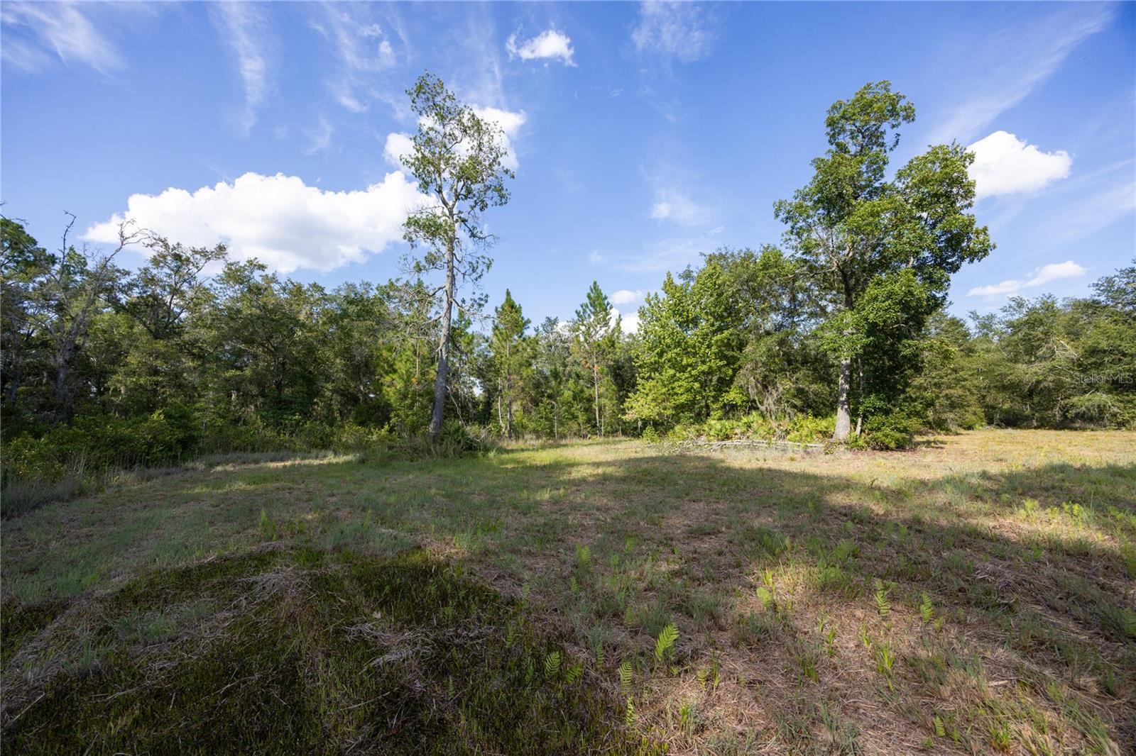 Image 37 of 37 For 7102 100th Avenue