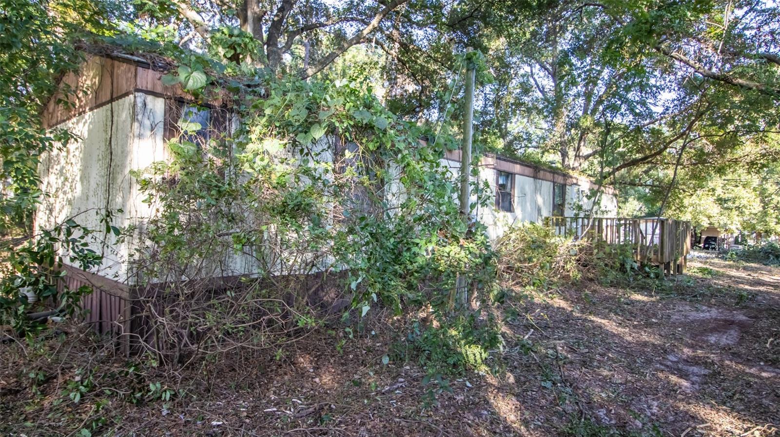 Image 6 of 18 For 630 Susan Avenue