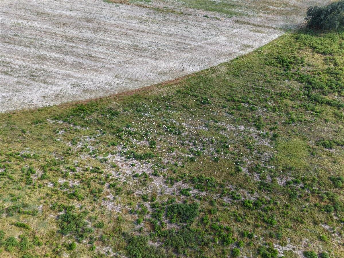 Image 49 of 59 For 6389 6th Place