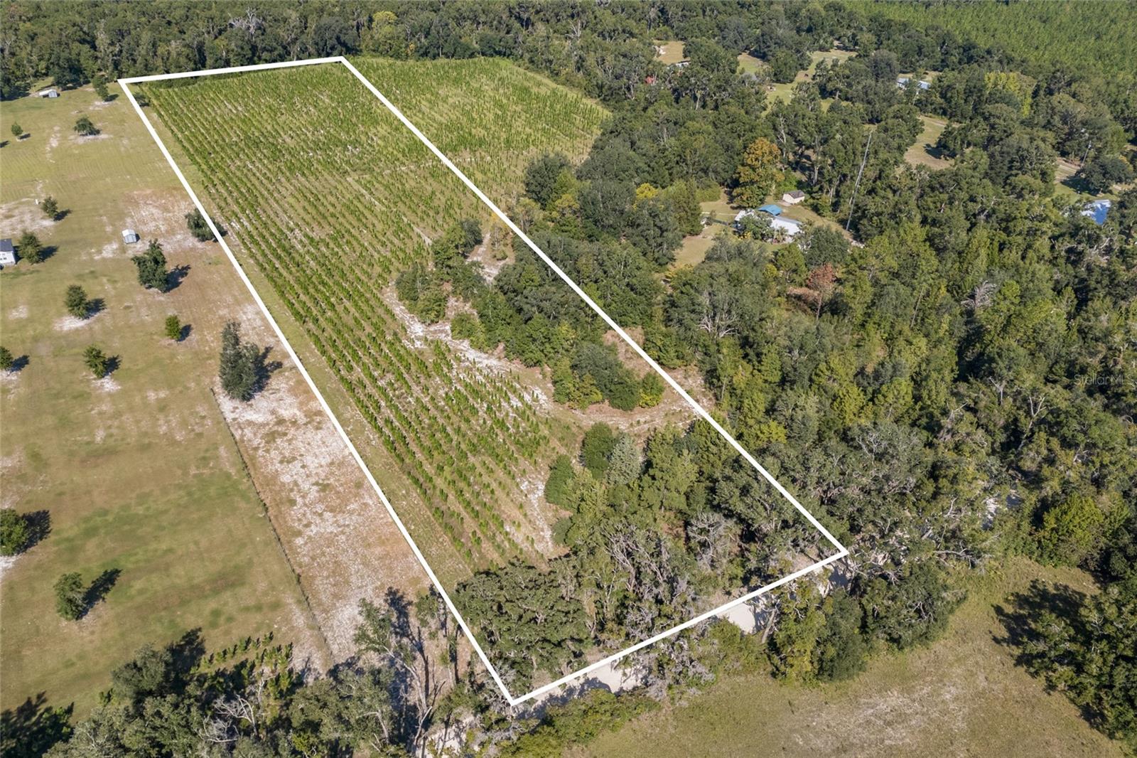 Details for 2470 Centerville Avenue, FORT WHITE, FL 32038