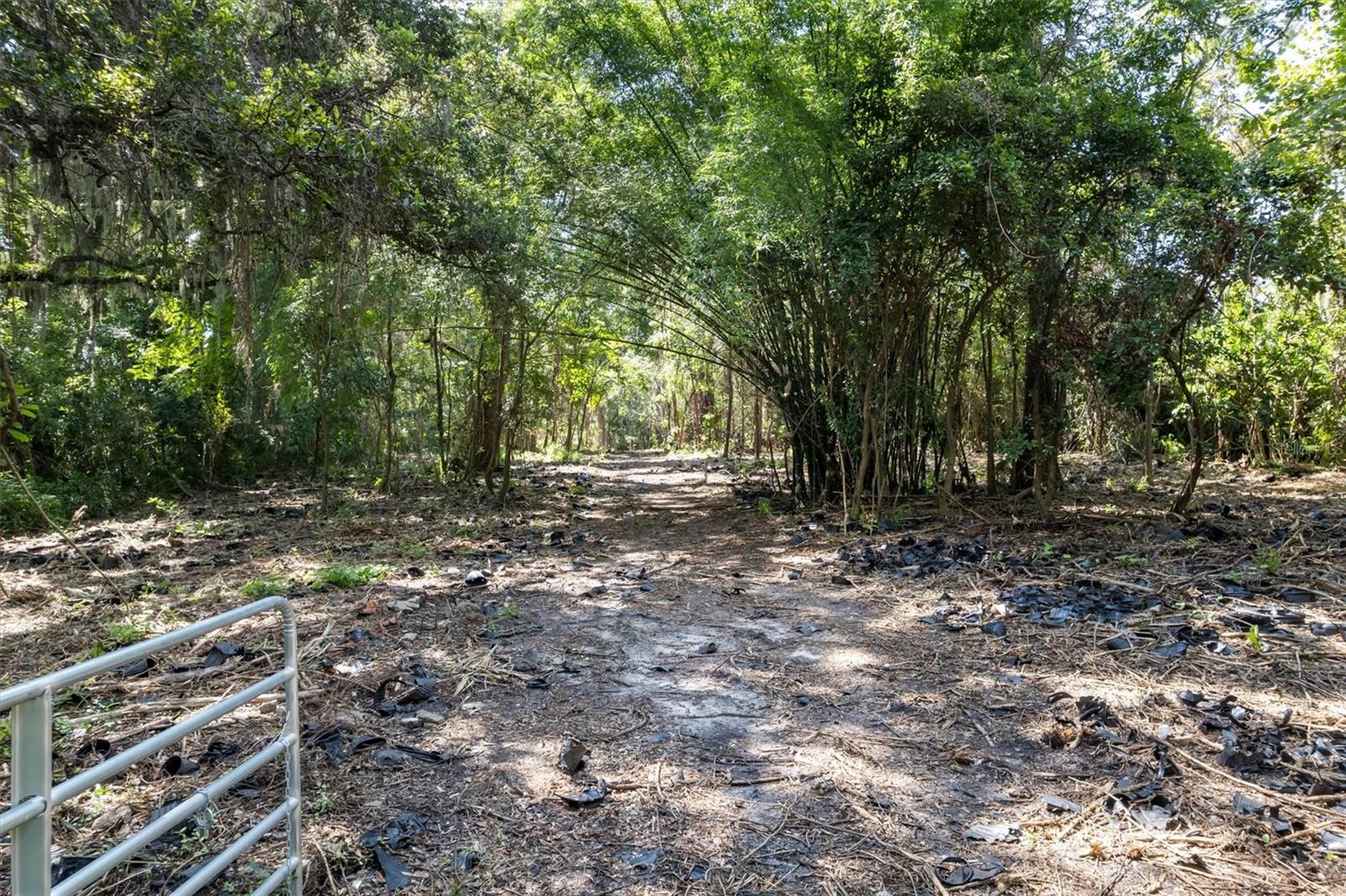 Image 4 of 12 For 000 Archer Road