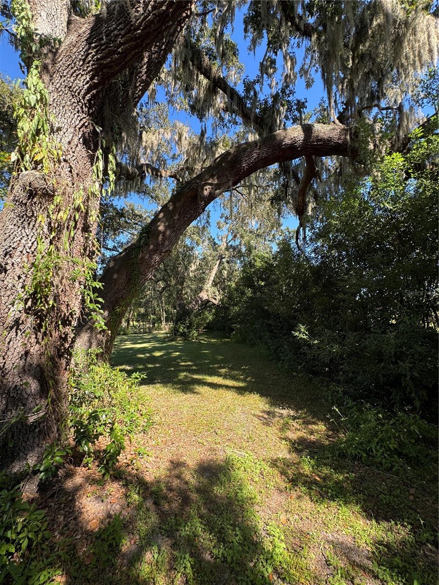 Image 14 of 31 For Tbd 185 Avenue