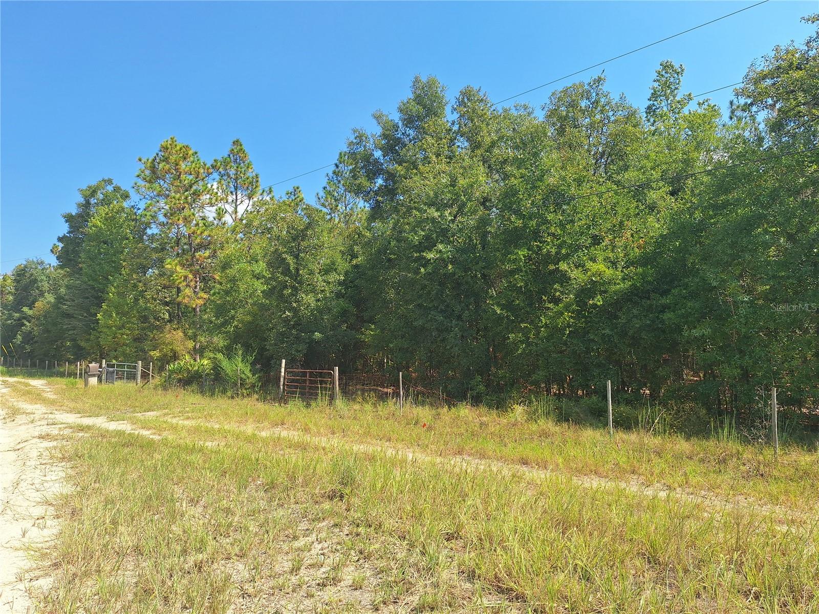Details for Lot 9 73rd Way, BELL, FL 32619