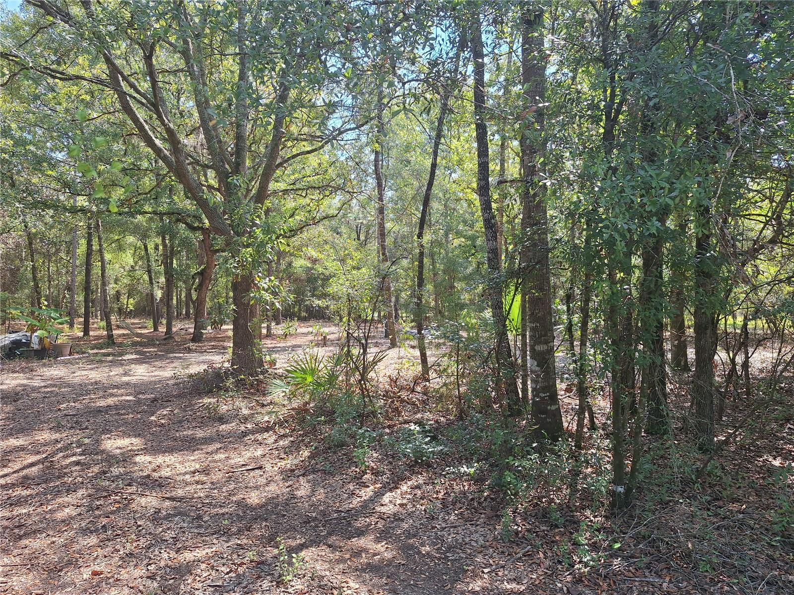 Image 5 of 19 For Lot 9 73rd Way