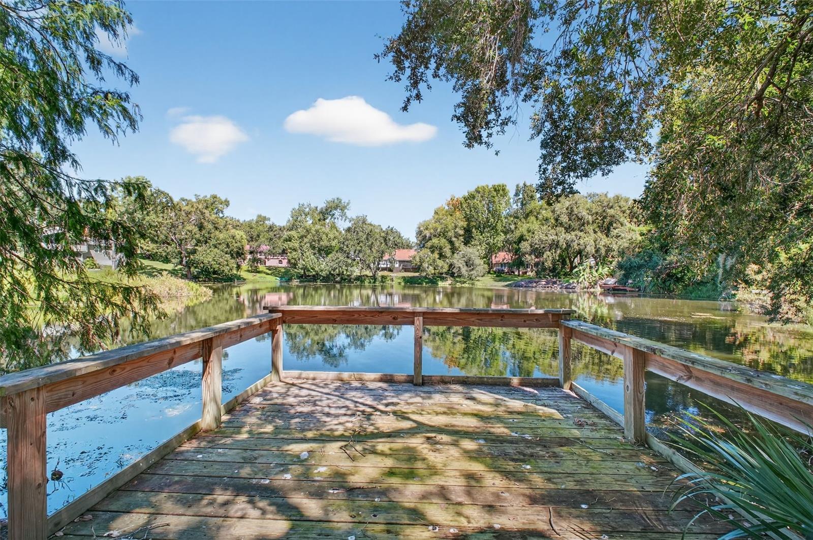 Listing photo id 14 for 11417 Lake Minneola Shores