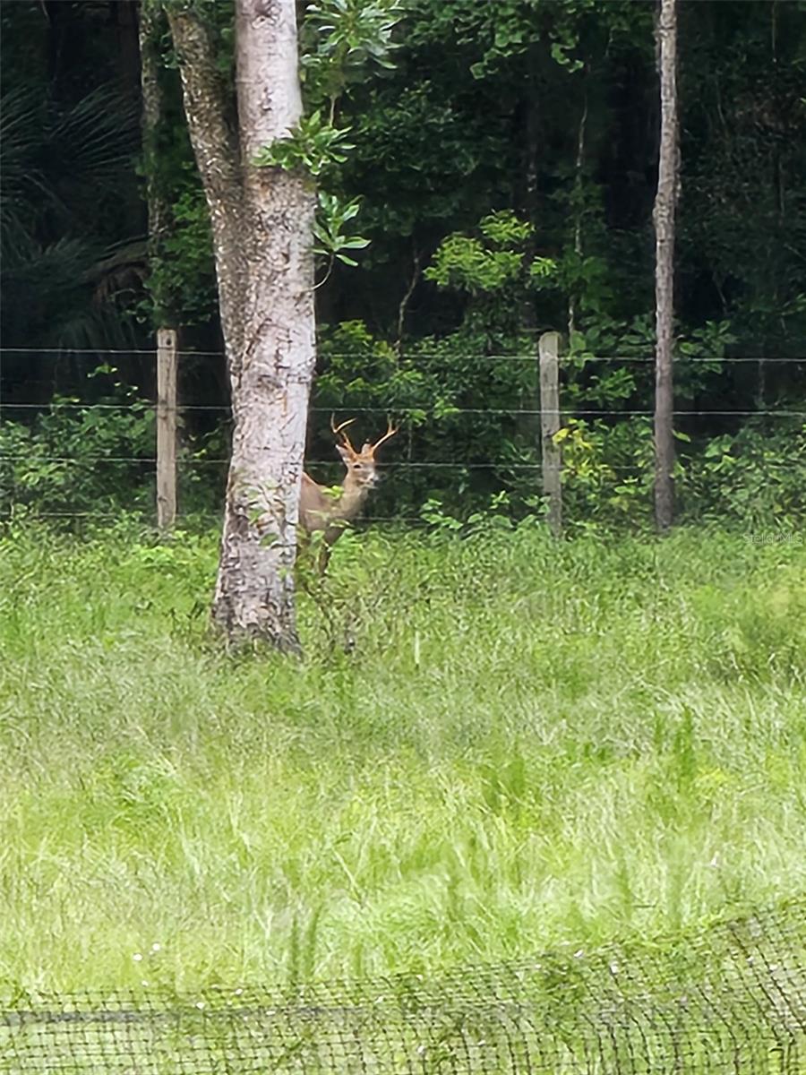 Image 56 of 64 For 6527 155th Street