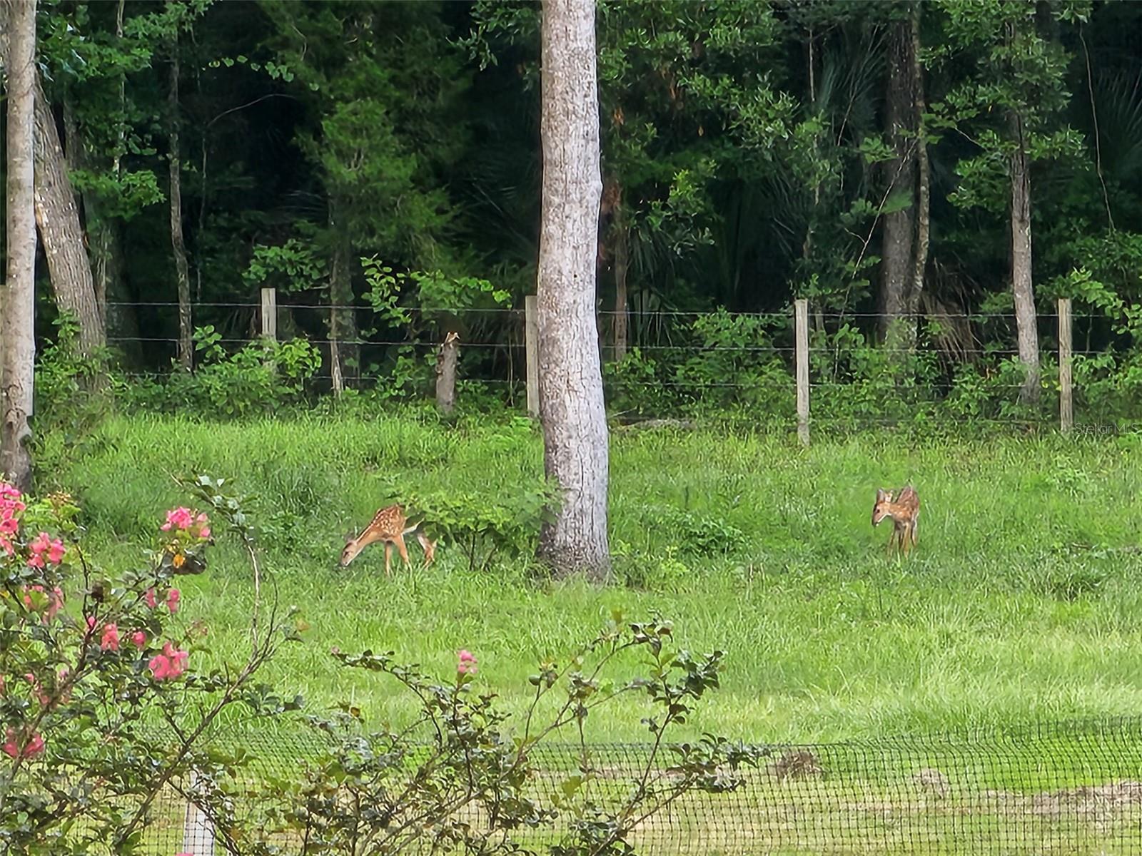 Image 57 of 64 For 6527 155th Street