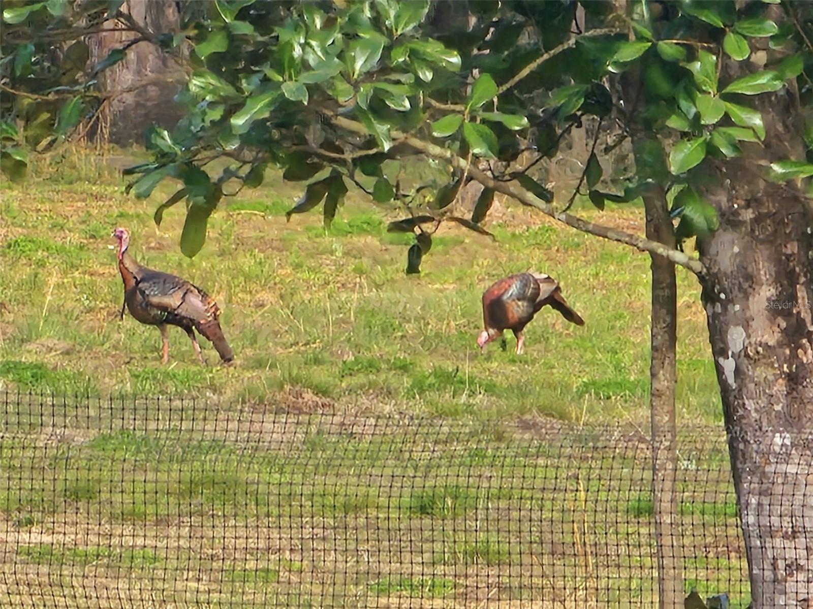 Image 60 of 64 For 6527 155th Street