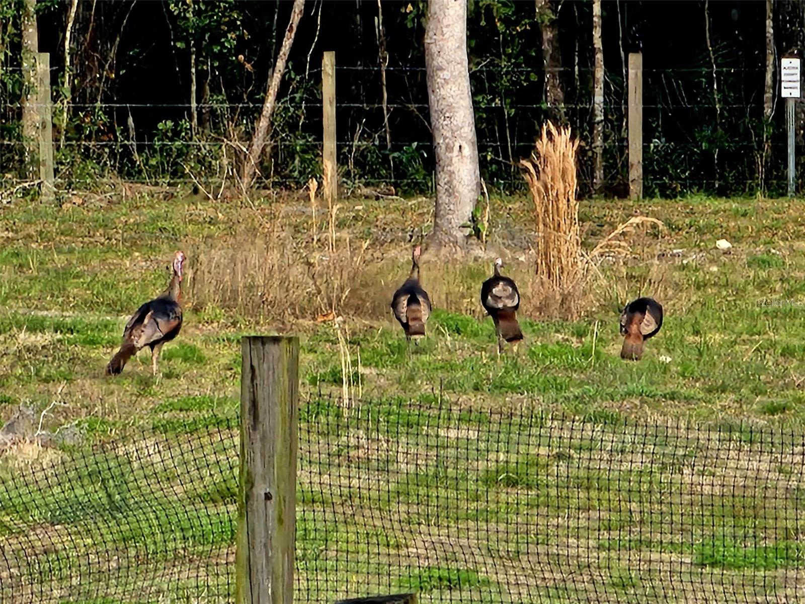 Image 61 of 64 For 6527 155th Street