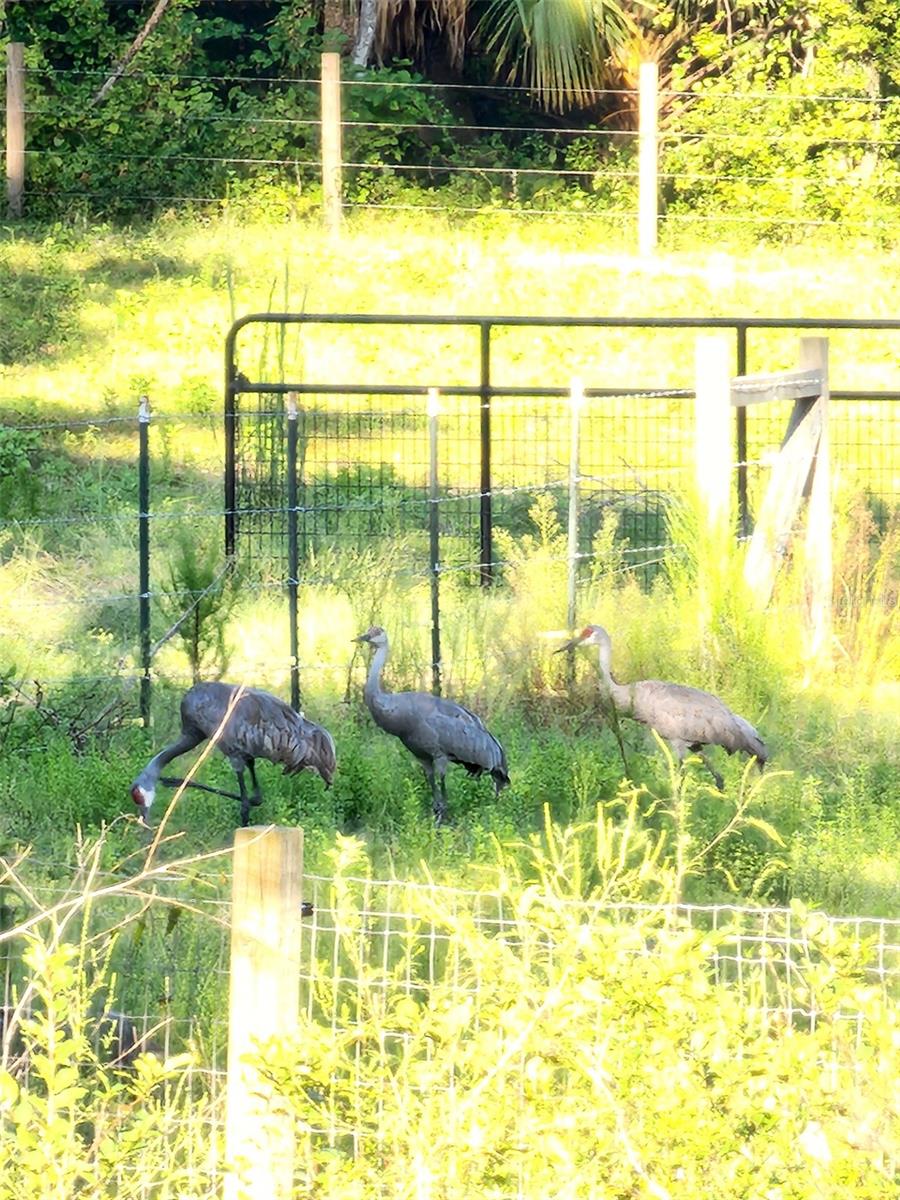 Image 63 of 64 For 6527 155th Street