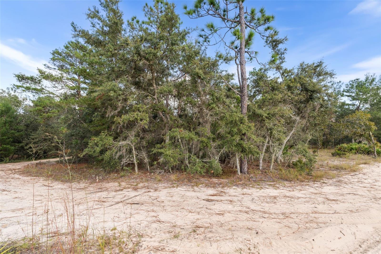 Image 2 of 11 For 0 75 Street 