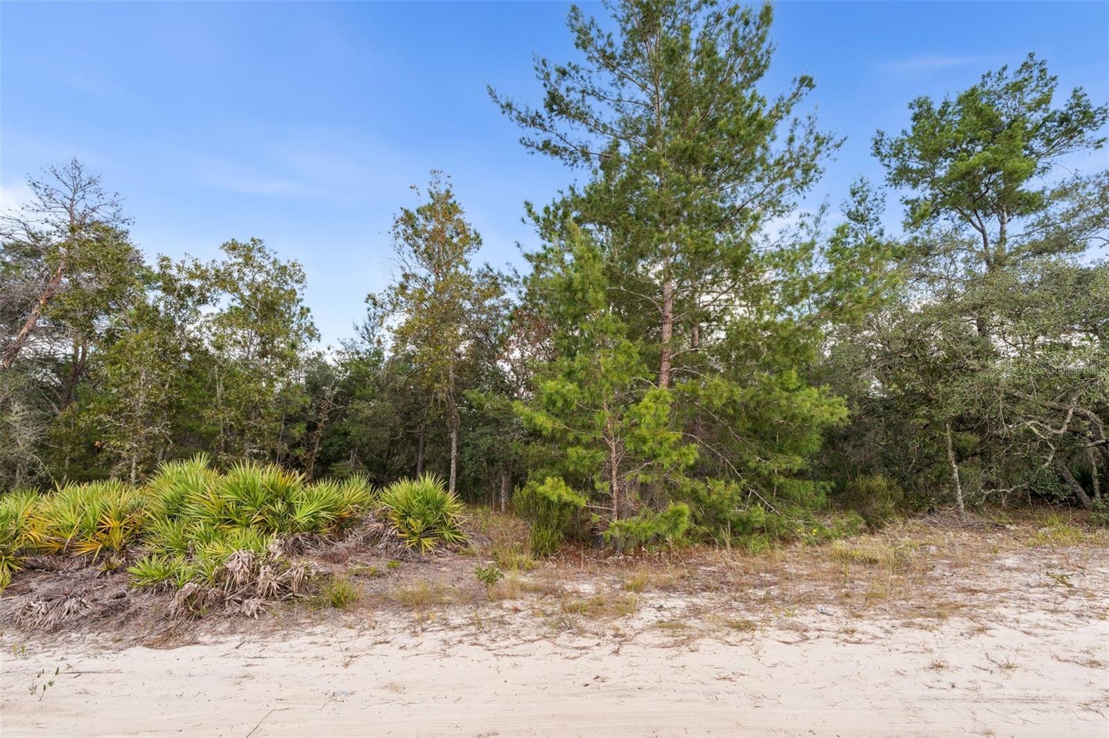 Image 3 of 11 For 0 75 Street 