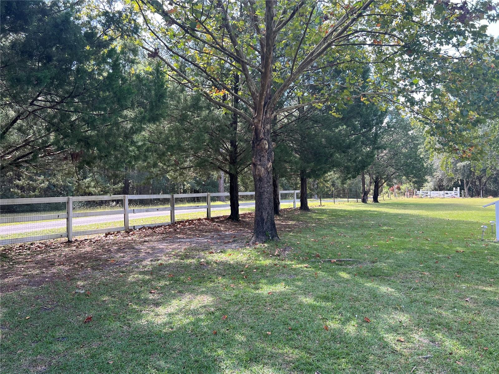 Image 32 of 53 For 25204 71st Place