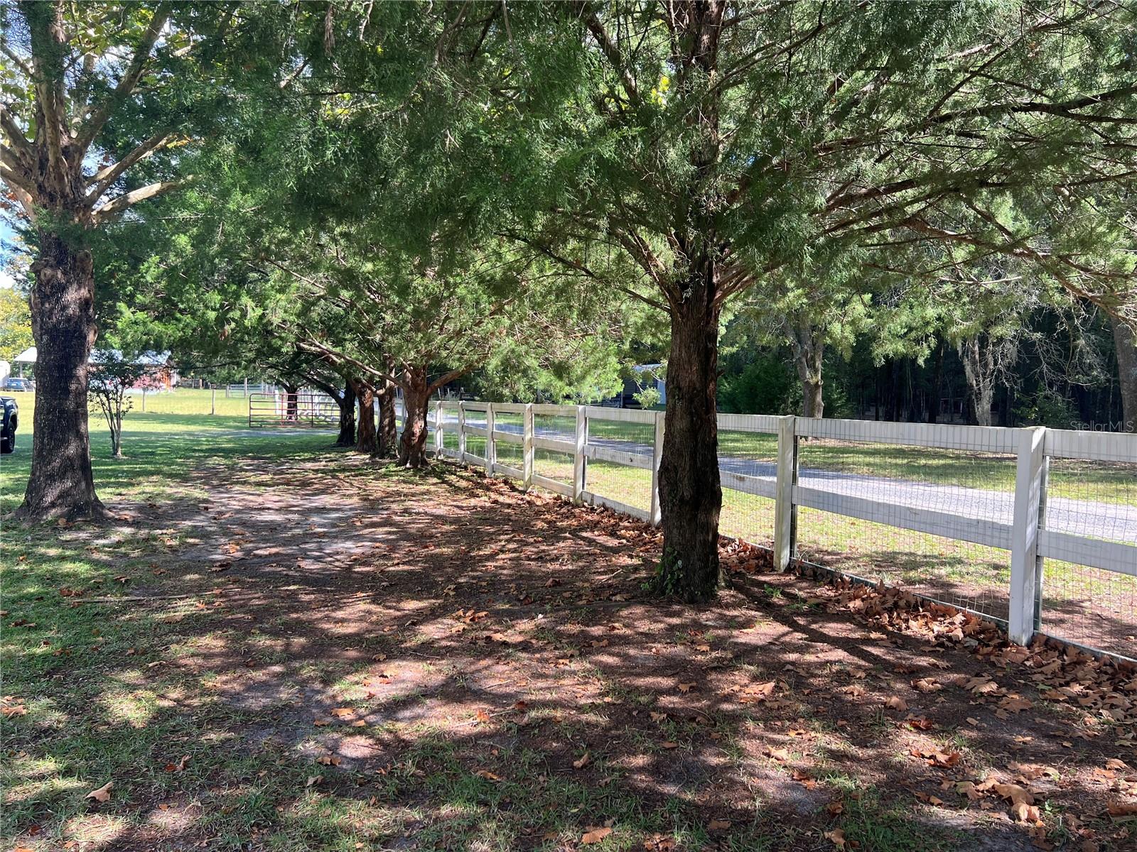 Image 51 of 53 For 25204 71st Place