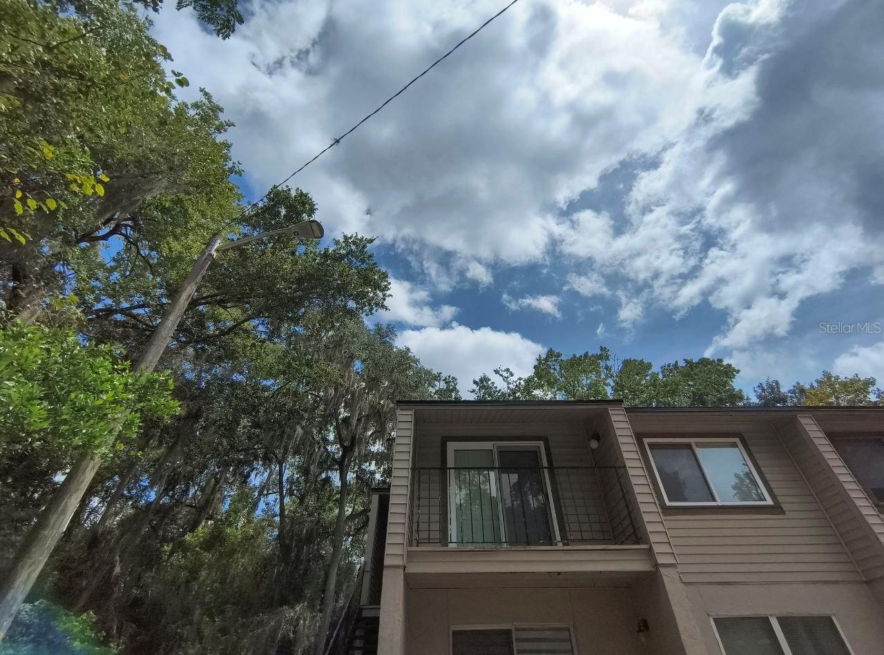 Image 9 of 10 For 1035 9th Street E21