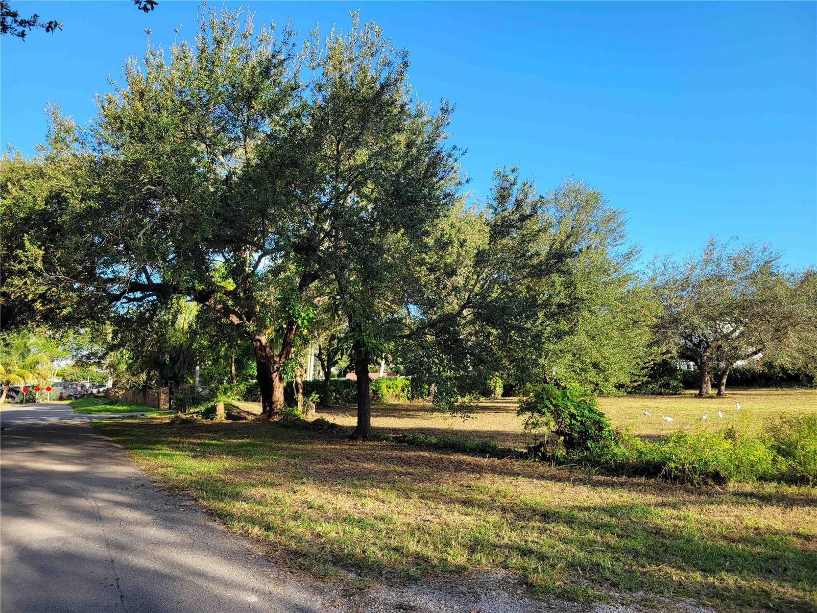 Image 5 of 8 For Tbd 93rd Street