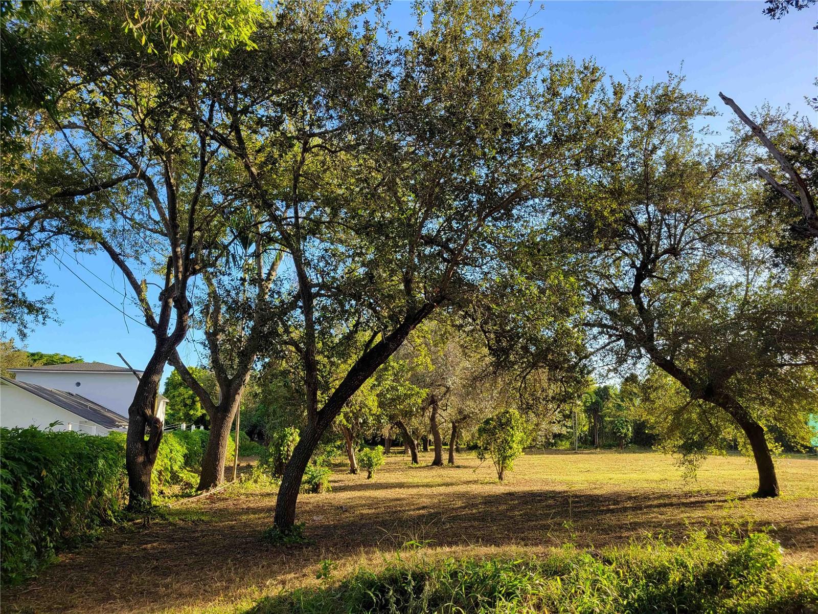 Image 8 of 8 For Tbd 93rd Street