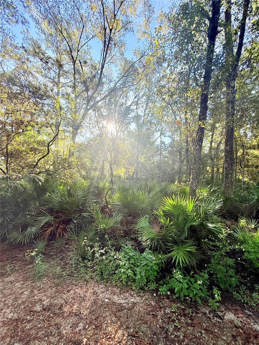 Image 10 of 44 For 7324 152 Place