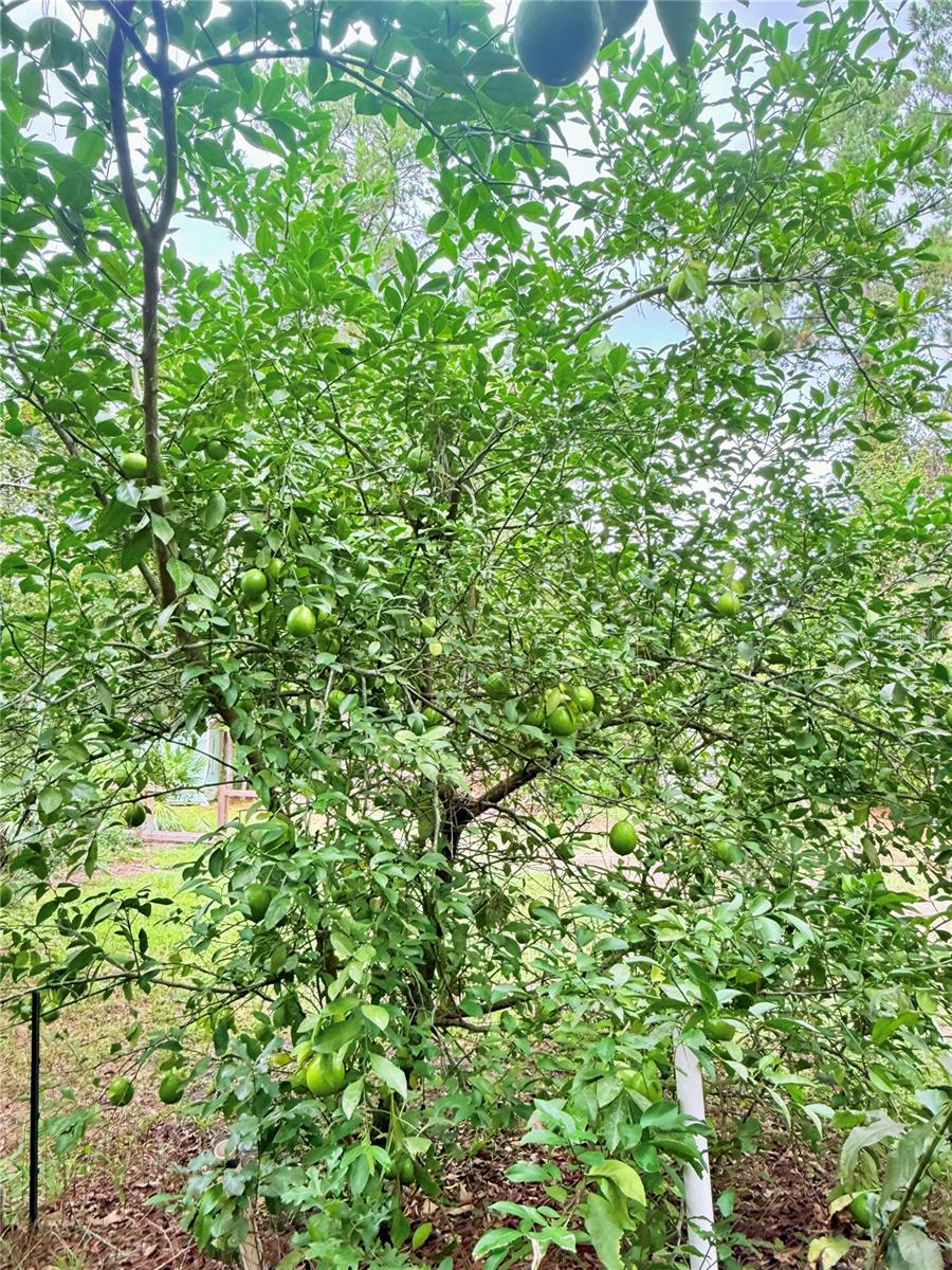 Image 25 of 44 For 7324 152 Place