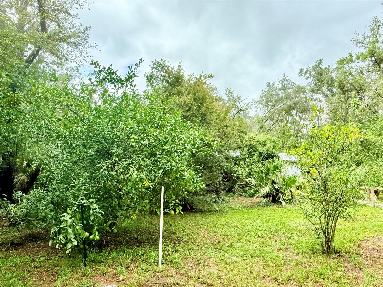 Image 26 of 44 For 7324 152 Place