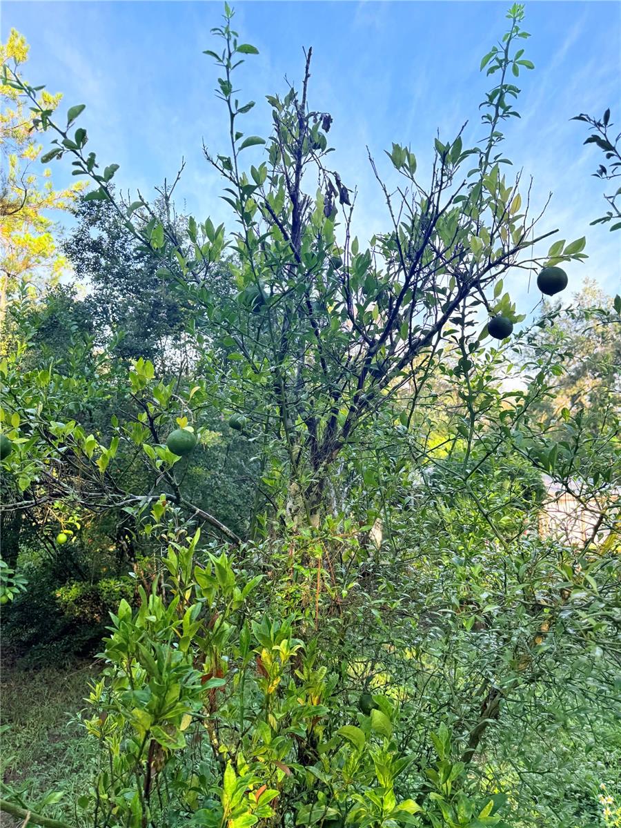 Image 3 of 44 For 7324 152 Place