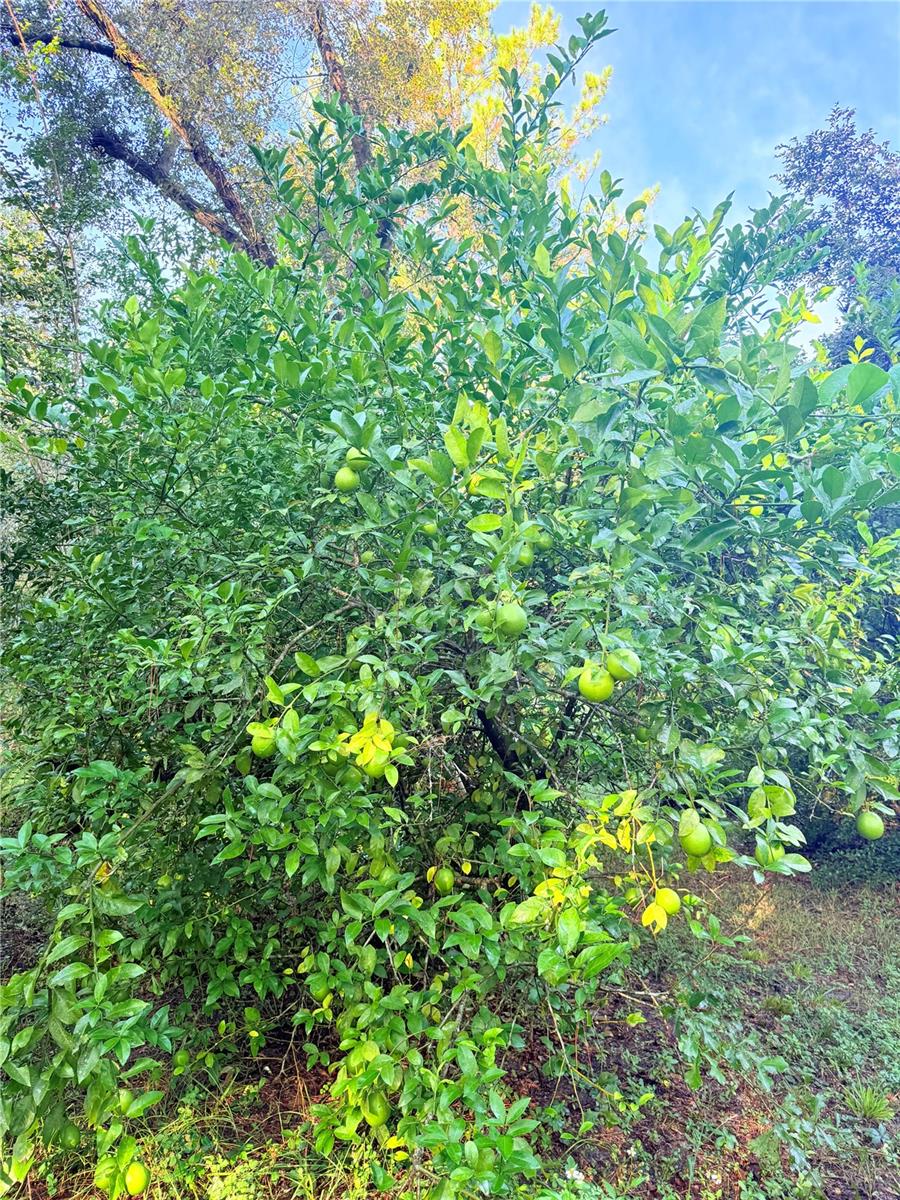 Image 4 of 44 For 7324 152 Place