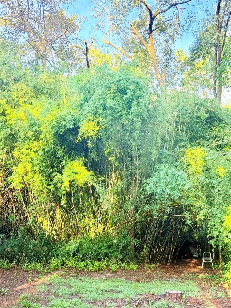 Image 5 of 44 For 7324 152 Place