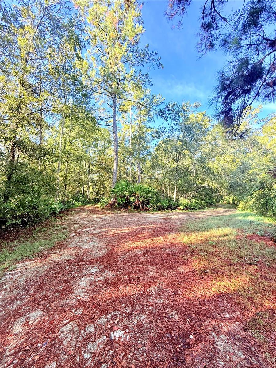 Image 8 of 44 For 7324 152 Place