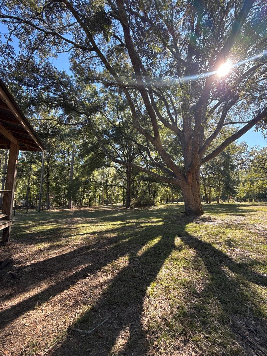 Image 16 of 20 For 563 Longhorn Terrace