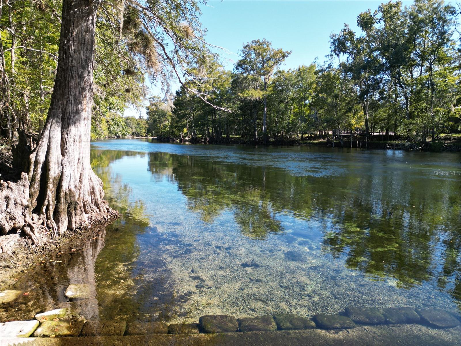 Image 3 of 20 For 563 Longhorn Terrace