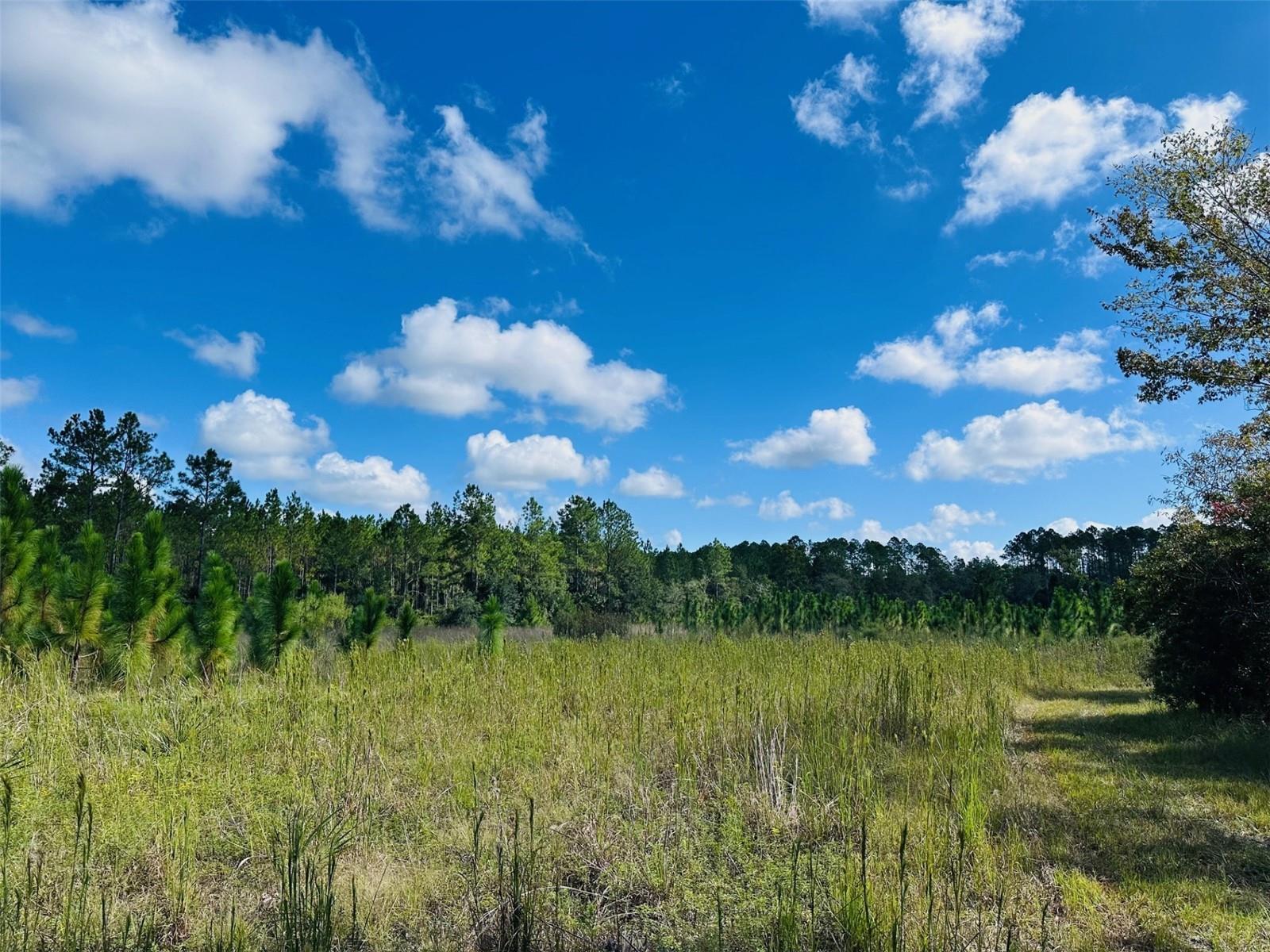 Image 34 of 41 For 5271 County Road 347