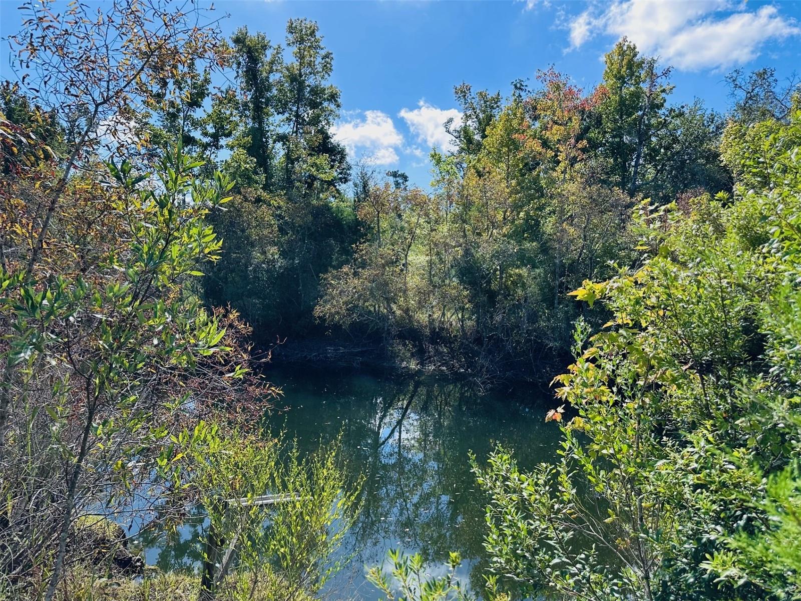 Image 35 of 41 For 5271 County Road 347